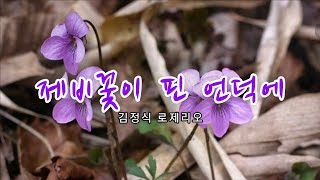 제비꽃이 핀 언덕에-김정식 로제리오