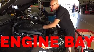 Engine Compartment ! Clean, Condition, And Protect! What I Use And How It Is Used!