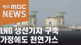 LNG 생산기지 구축…가정에도 천연가스