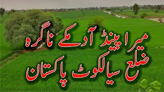 Adam Ky Nagra the village of Panjab | Pakistani Village Life | Dunia info