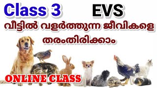 Class 3 || ONLINE CLASS |  വളർത്തു മൃഗങ്ങളെ ആവശ്യനുസരണം  പട്ടികപ്പെടുത്താം |  VICTERS ചാനൽ തുടർപ്രവ