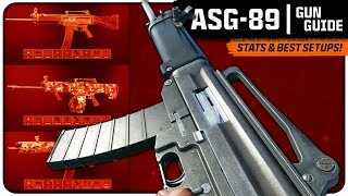 The ASG-89 has Some Potential! | (Stats \u0026 Best Attachments)