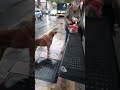 Homeless dog eats at the bus stop. Feed a dog