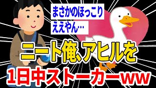 【2ch 面白いスレ】ニートだけど暇すぎて、一日中アヒルをストーカーしたwww【2ch 笑える ゆっくり解説  伝説 ２chショート】