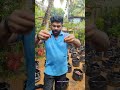 ഗ്രോബാഗിലെ കൃഷിക്ക് ഒരുക്കങ്ങൾ ഇങ്ങനെ grow bag farming malayalam kirshi