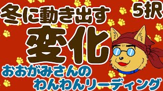 🐶立冬から始まりだす幸せへの動き！冬に動き出す「変化」！おみくじっぽい「５択」リーディング🐶わんこたちに聞く🐶おおがみさんのわんわんリーディング【タロット・オラクルカードリーディング】🐶