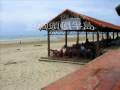 頭頓市海灘 the beach of vũng tàu city