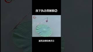 放下执念得解脱（二）