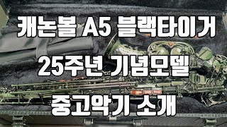 (판매완료)캐논볼 알토 블랙타이거 25주년 기념모델 중고악기 소개!