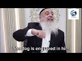 harav avraham baruch don’t marry a goyim or you will end up as a dog