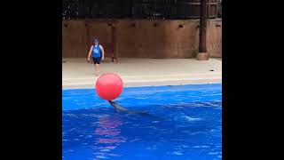 Ronaldo of the water park!