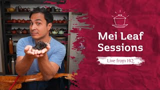 Tasting Special Old Bush Oolong - LIVE SESSION