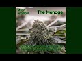 The Menage - Strain Spotlight