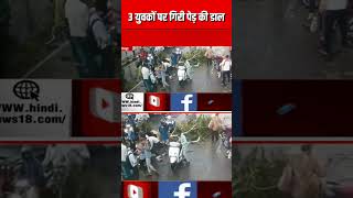 Jodhpur में Scooty सवार 3 युवकों पर गिरी पेड़ की डाल | Rajasthan News | Breaking News | Shorts | News