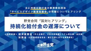 2020年6月1日 野党合同国対ヒアリング 「持続過給付金の遅滞について」