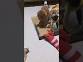 ネズミ君🐁❕エビちゃん🦞と近すぎよ💢ちょっと手荒になる⁉️ニャン子🐈💘💘 猫動画 かわいい 猫 cat 癒し shorts cute 猫の日常　 猫のいる生活 猫好き おもしろ動画