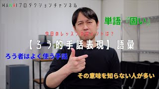 【手話】今日のレッスンのポイントは？｜【ろう的手話表現】語彙｜HANAIプロダクション