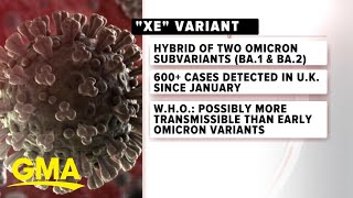 New COVID variant XE identified in UK l GMA