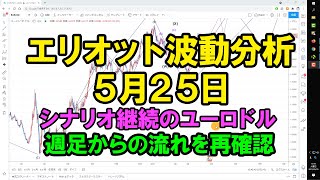 エリオット波動分析 2021年05月25日　ユーロドル週足からの流れを再確認