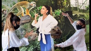 My Day With Animals | Shouq  يومي مع حيوانات | شوق