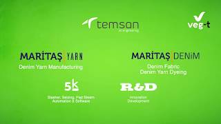 TEMSAN VEG-T INTRODUCTION