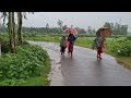 Walking In Heavy Rain In Village Side | Heavy Rain  In Beautiful Village | Rain Sound For Sleeping