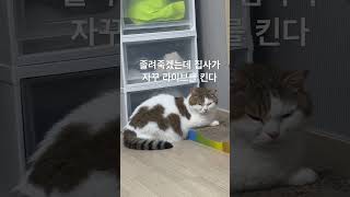 졸려 죽겠는 치유 데리고 라이브키기