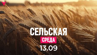 Сельская среда | 13.09.2023