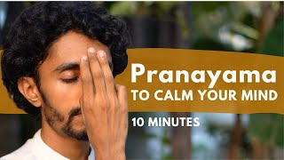 10 minute Pranayama to Calm your Mind 😌