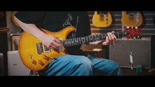 Paul Reed Smith DGT Semi-Hollow Limited Edition \