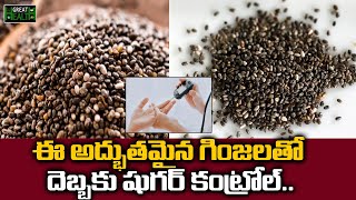 ఈ గింజలతో దెబ్బకు షుగర్ కంట్రోల్.. | Health Benefits of Chia Seeds in Telugu | Great Health