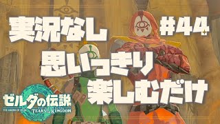 #44 ゼルダの伝説ティアーズオブザキングダム/潜入イーガ団【実況なし/ティアキン】