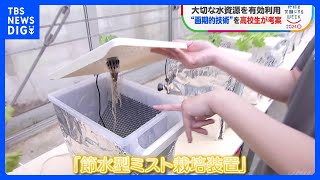 高校生らが開発「節水型ミスト栽培装置」　野菜の栽培に必要な水が半分以下になるケースも【SDGs】｜TBS NEWS DIG