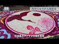 街角に大きな花の絵出現　サッポロフラワーカーペット２０２４開幕