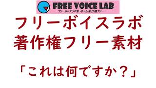 フリー素材「これは何ですか？」means「What is this？」：フリーボイスラボあっちゃん