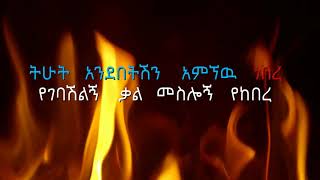 Ermias Asfaw Tihut Andebetish (ትሁት አንደበትሽን) Ethiopian Music Lyrics Video