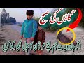 Village morning vlog Sargodha | Village life Punjab #villagevlog