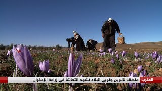 المغرب.. \