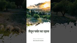 जैतून पर्वत का रहस्य || Mystery Of Mount Of Olives #shorts #shortsvideo #motivation #endtimes