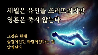 세월은 육신을 쓰러뜨리지만 영혼은 죽지 않는다 [무엇이 인간의 삶을 의미있게 하는가]