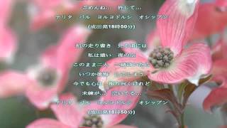 涙のエアターミナル～成田発18時50分～／チャン・ウンスク／歌詞付き Relaxing Music