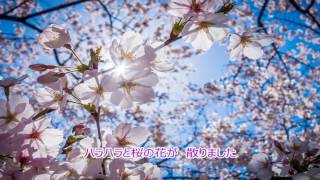 桜のハンカチーフ　Handkerchief of cherry blossoms 【Original song】