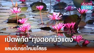 ทุ่งดอกบัวแดง แลนด์มาร์กใหม่ยโสธร  | เรื่องดีดีทั่วไทย | 13-11-67