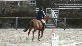 ♥ Ramses du Hequet- jumping horse  by Cacao Courcelle