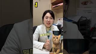 用“弃猫效应”养出来的猫，能有多乖？#猫咪