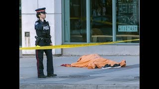 Nine killed, 16 injured by driver in Toronto: Police