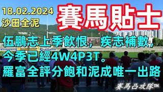 #賽馬凸攻隊 [18.12.2024] #香港沙田 全泥 #賽馬貼士 #highlights #horse #racing #tips