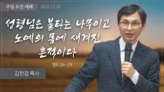 2022.12.25(일) 성령님은 불타는 나무이고 노예의 몸에 새겨진 흔적이다 (행8:26-29) [김천겸 목사]