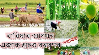 বাৰিষাৰ পথাৰ //বাৰিষাৰ আগমন//চৌদিশে পানী পানী // Village vlog assamese