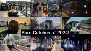 Rare Catches Of 2024!